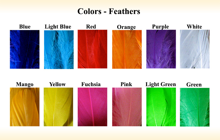  Colors – Feathers