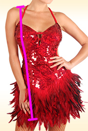 Dress Length