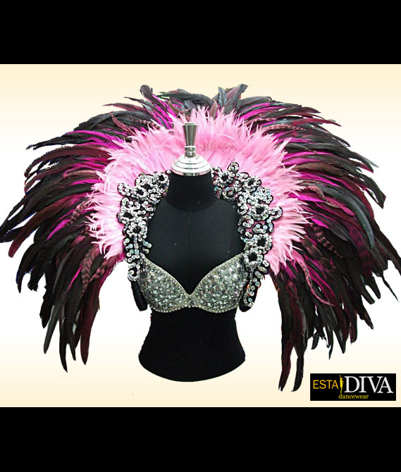 Samba feathers 2025