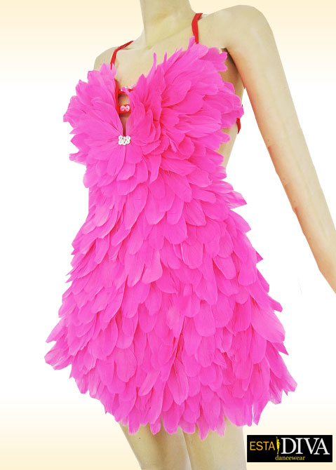 Feather Dress - Chica Pluma