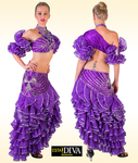 Spanish Dance Dress - Traje de Flamenca