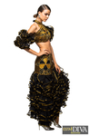Spanish Dance Dress - Traje Castellano